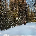 Appartamento Mountain No 209-corso Harrachov, High Speed Wi-fi, Ambilight Smart Tv, Netflix, Youtube, Free Parking, Private Sejf, Private Bike Storage, Harrachovcard Harrachov
