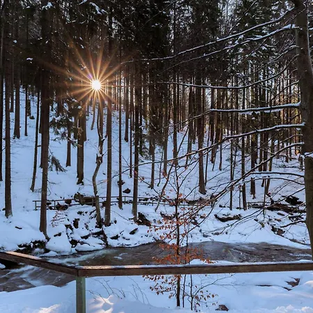 Mountain No 209-corso Harrachov, High Speed Wi-fi, Ambilight Smart Tv, Netflix, Youtube, Free Parking, Private Bike Storage
