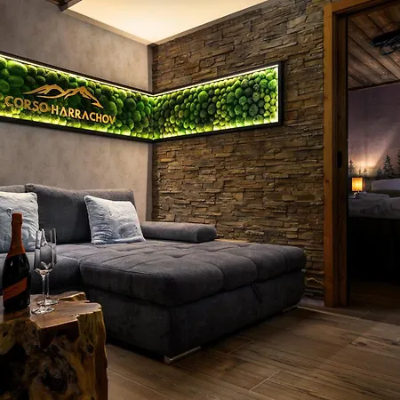 Mountain No 209-corso Harrachov, High Speed Wi-fi, Ambilight Smart Tv, Netflix, Youtube, Free Parking, Private Sejf, Private Bike Storage, Harrachovcard Appartamento Harrachov