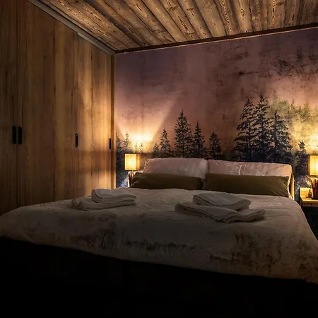 Mountain No 209-corso Harrachov, High Speed Wi-fi, Ambilight Smart Tv, Netflix, Youtube, Free Parking, Private Bike Storage Apartment