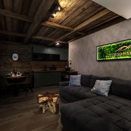 Apartment Mountain No 209-corso Harrachov, High Speed Wi-fi, Ambilight Smart Tv, Netflix, Youtube, Free Parking, Private Sejf, Private Bike Storage, Harrachovcard Harrachov
